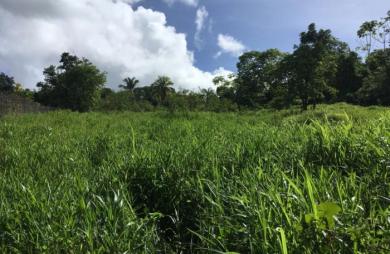 Vente Terrain 2089m&sup2; Le Lamentin