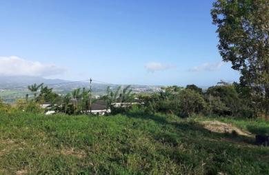 Vente Terrain 1704m&sup2; Le Lamentin