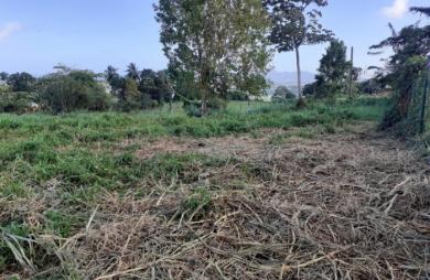Vente Terrain 1704m&sup2; Le Lamentin