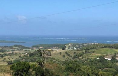 Vente Terrain 2214m&sup2; Le Marin