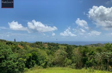 À vendre à Sainte-Marie - Terrain idéal promotion immobilière