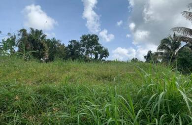 Vente Terrain 1312m&sup2; Le Lorrain
