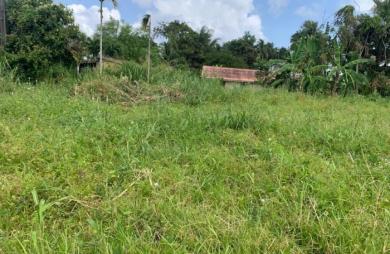 Vente Terrain 1312m&sup2; Le Lorrain