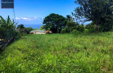 Terrain à bâtir de 1 316 m2 à vendre à Basse-Pointe
