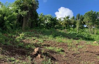 Vente Terrain 4210m&sup2; Rivière Salée