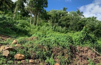 Vente Terrain 4210m&sup2; Rivière Salée