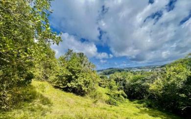 La Trinité - Beau Terrain pentu de 18 626 m2 - Vue degagée