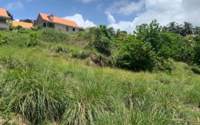 Le MARIGOT - Terrain de 2 608 m² - 210 000 euros FAI