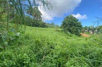 Vente Terrain Le Lorrain