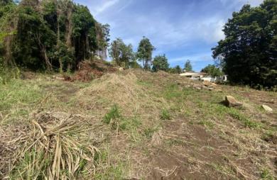Vente Terrain 706m&sup2; Le Vauclin