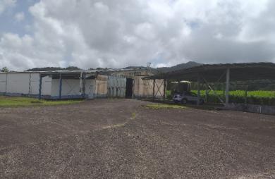 Location Entrepot 8500m² Le Morne Rouge