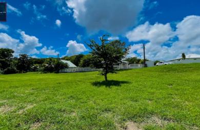 Terrain de 1 090 m2 à vendre - Sainte-Anne