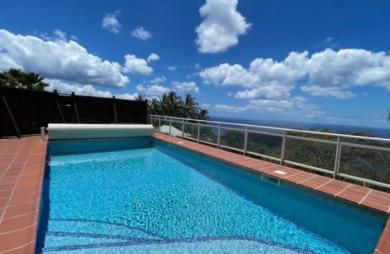 Villa de type F5 et pette dépendance avec vue mer sur les hauteurs de CASE-PILOTE