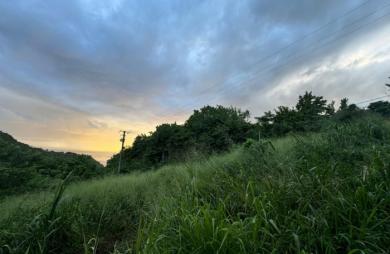 Vente Terrain 1472m&sup2; Case-Pilote