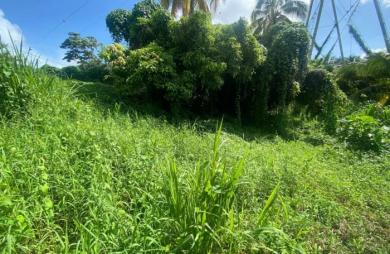 Vente Terrain 2926m&sup2; Ducos