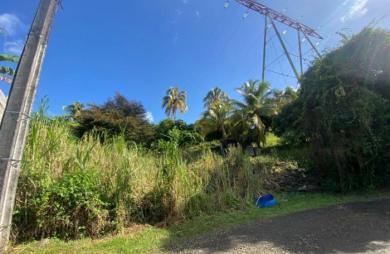 Vente Terrain 2926m&sup2; Ducos