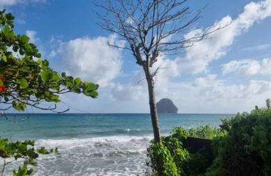 Vente Appartement 1 pièce Le Diamant