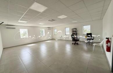Local mixte de 55 m2 à louer 1 100.00 €/mois au Lamentin