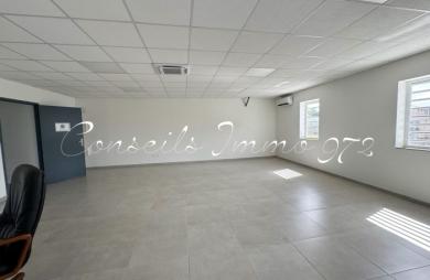 Local mixte de 55 m2 à louer 1 100.00 €/mois au Lamentin