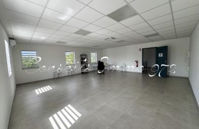 Local mixte de 55 m2 à louer 1 100.00 €/mois au Lamentin
