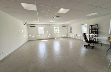 Local mixte de 55 m2 à louer 1 100.00 €/mois au Lamentin