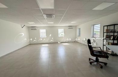 Local mixte de 55 m2 à louer 1 100.00 €/mois au Lamentin