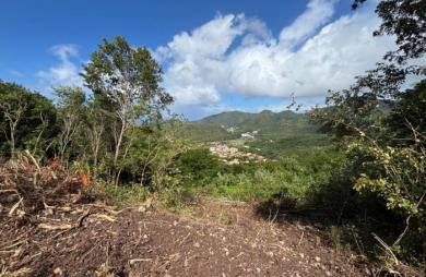 Vente Terrain 1200m&sup2; Les Anses d