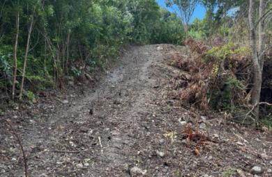 Vente Terrain 1200m&sup2; Les Anses d
