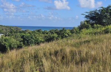 Vente Terrain 623m&sup2; Le Diamant