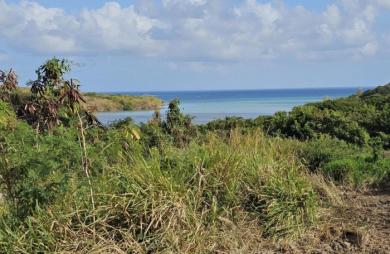 Vente Terrain 623m&sup2; Le Diamant