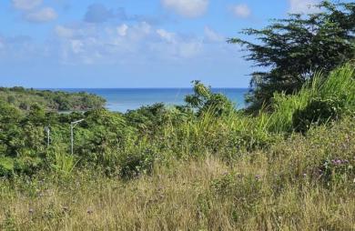 Vente Terrain 615m&sup2; Le Diamant