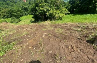 Vente Terrain 706m&sup2; Le Vauclin