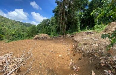Vente Terrain 568m&sup2; Le Vauclin