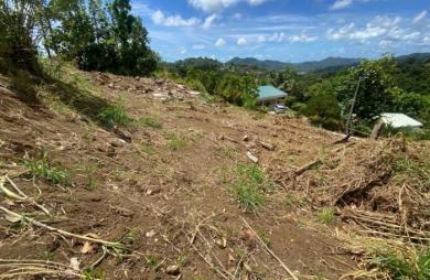 Vente Terrain 585m&sup2; Le Vauclin