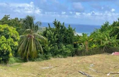 Vente Terrain 653m&sup2; Le Marigot