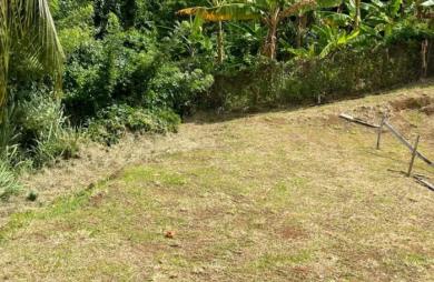 Vente Terrain 653m&sup2; Le Marigot