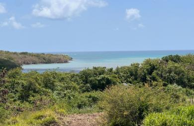 Vente Terrain 612m² Le Diamant