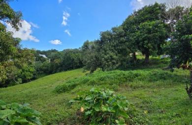 Vente Terrain 1373m&sup2; Le Robert