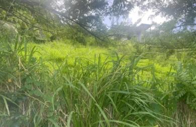 Vente Terrain 922m&sup2; Rivière Salée