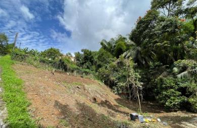 1062 m2 Terrain à vendre BALATA - FORT-DE-FRANCE