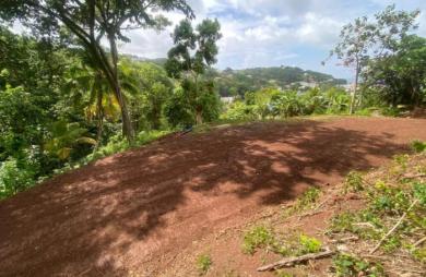 Vente Terrain 2479m&sup2; La Trinité