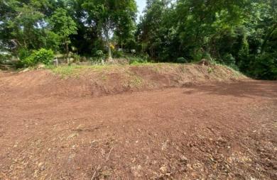 Vente Terrain 2479m&sup2; La Trinité