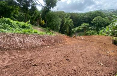 Vente Terrain 2479m&sup2; La Trinité