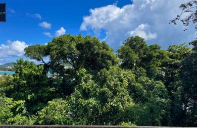 Terrain de 1 194 m2 en vente à Trinité