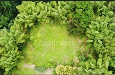 Vente Terrain 6130m&sup2; L