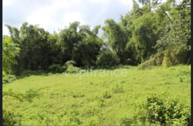 Vente Terrain 6130m&sup2; L