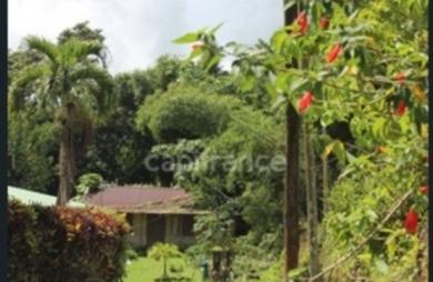 Vente Terrain 6130m&sup2; L