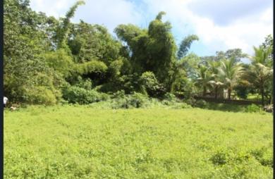 Vente Terrain 6130m&sup2; L