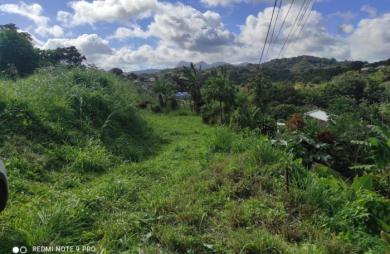 Vente Terrain 1407m&sup2; Saint-Joseph