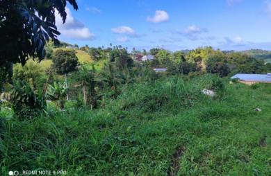 Vente Terrain 1407m&sup2; Saint-Joseph